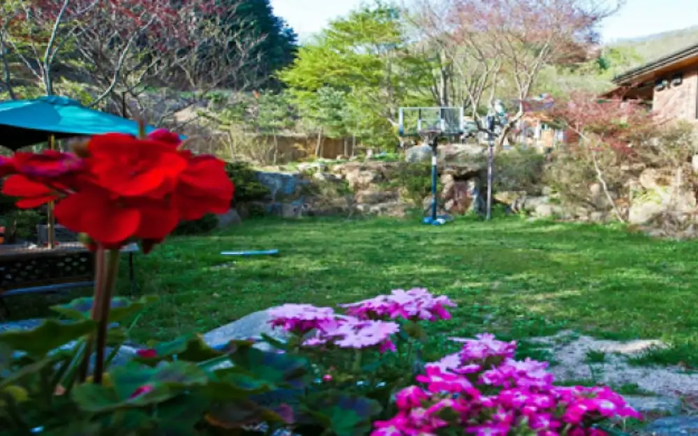 Yangpyeong Terra Pension