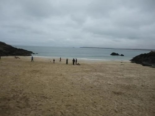 Dolphin Rock