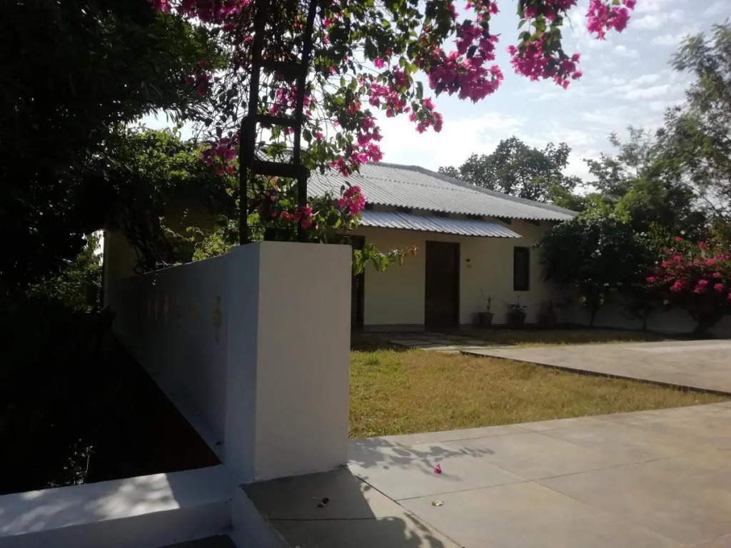 Bagh Tola