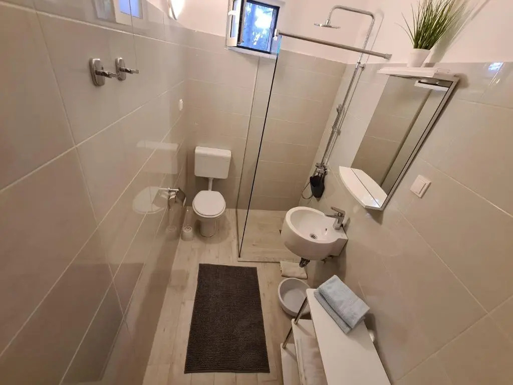Apartments Srzic NO1