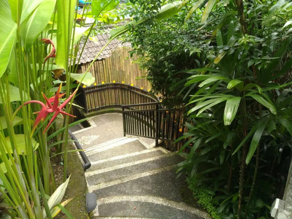 Rumah Kelinci
