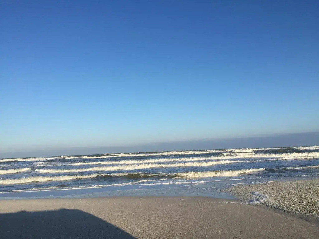 Max - Mamaia Nord