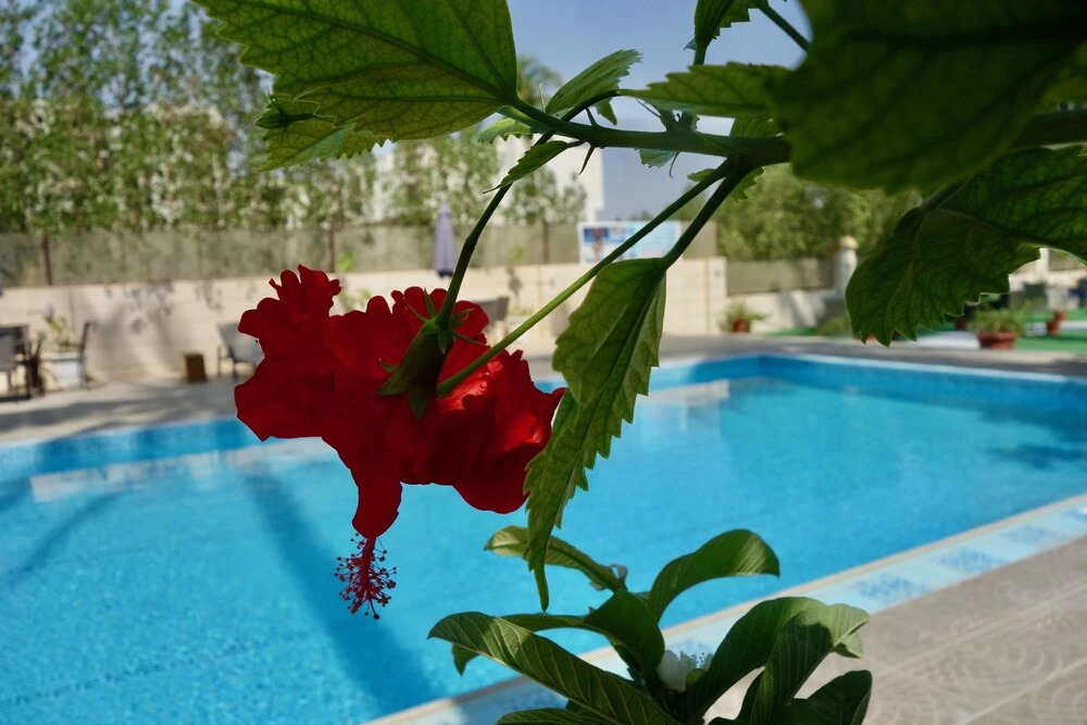 Grand Tayba Hotel