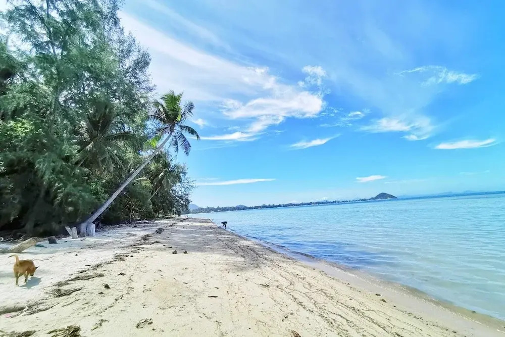 Beach Bungalow
