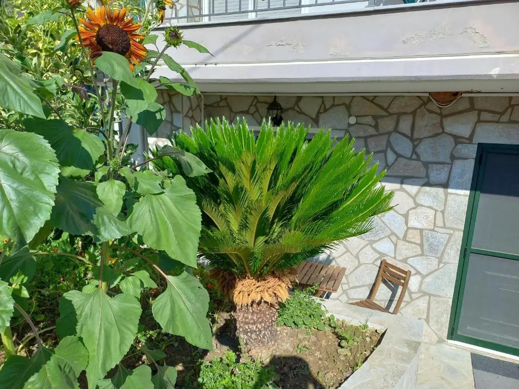Elysion point Apartment