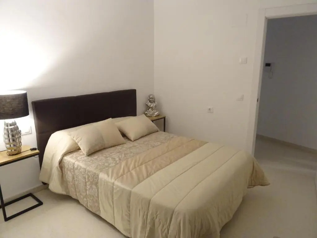 Apartamento Plaza San benito 4