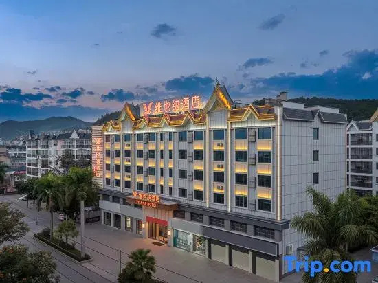 Viena Hotel (Menglian Passenger Station Customs Road Branch)
