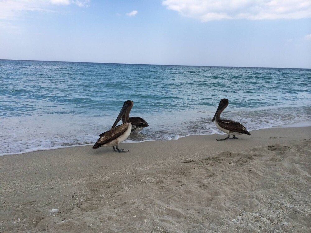 Casa Onna - Downtown Varadero, Short Walk to Beach