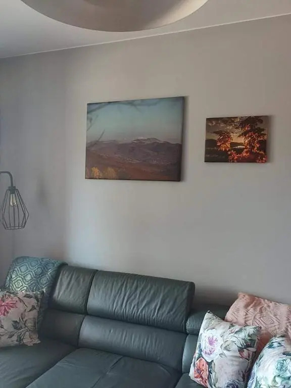 LUX Apartament ODKRYJ - BIESZCZADY
