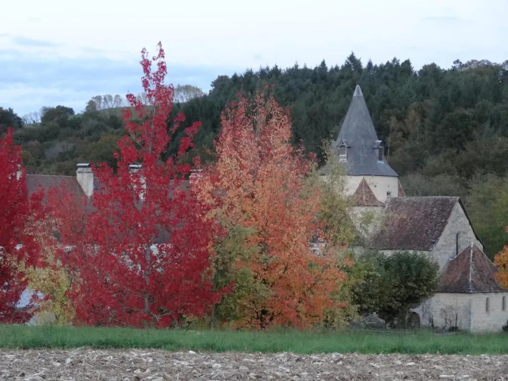 Côté Cour