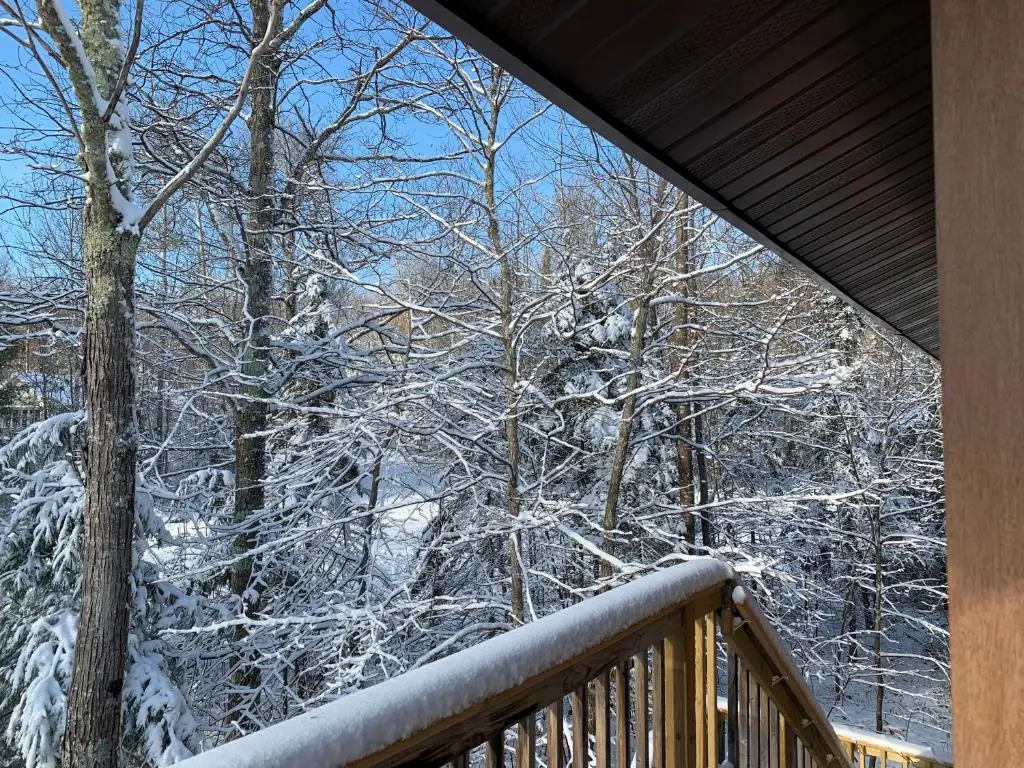 Woodland Lodging