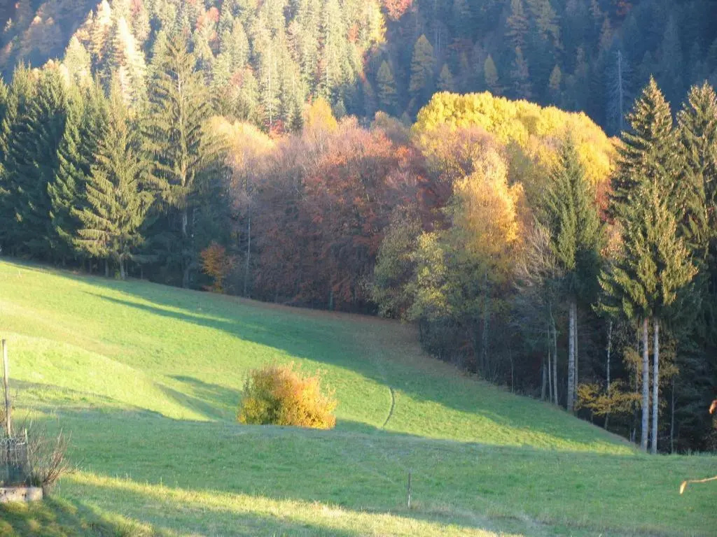 Dolomiti di Brenta House