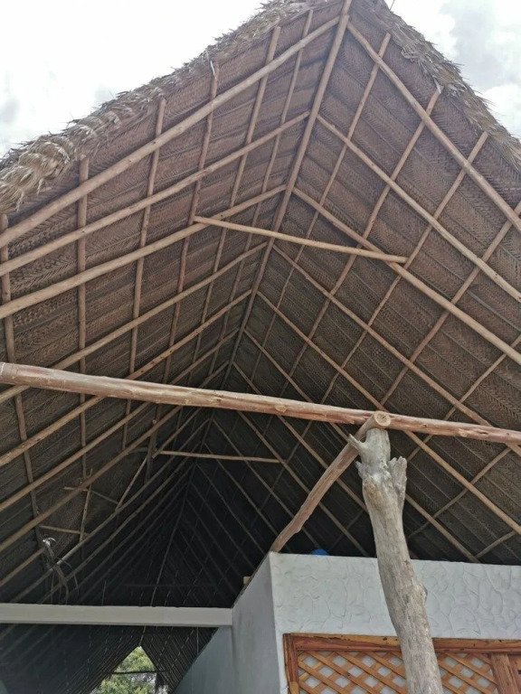 Hostal Dream House