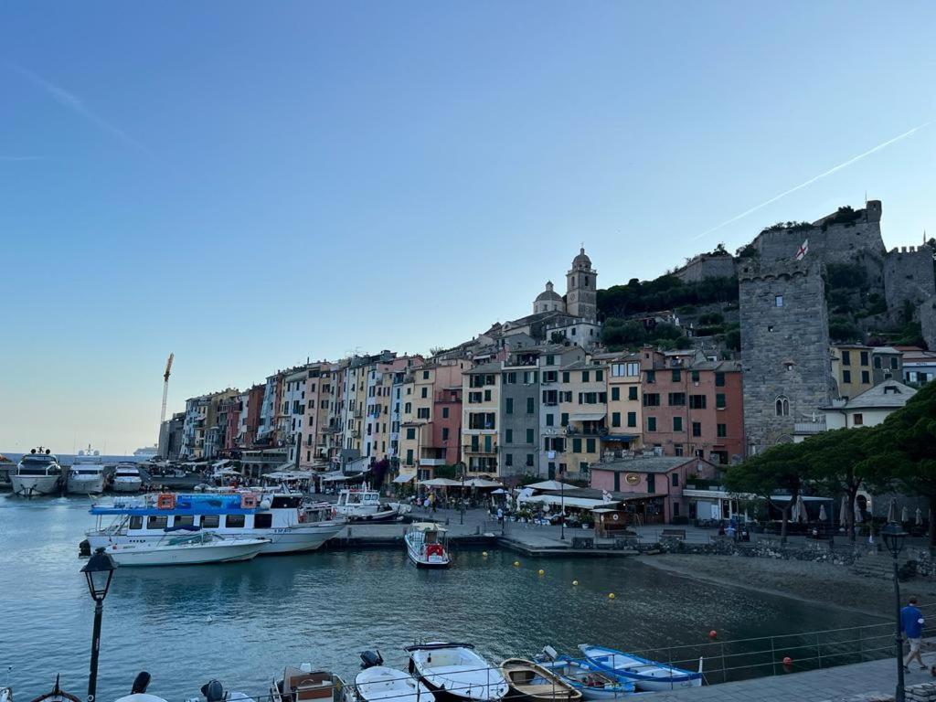 Vittoria 19