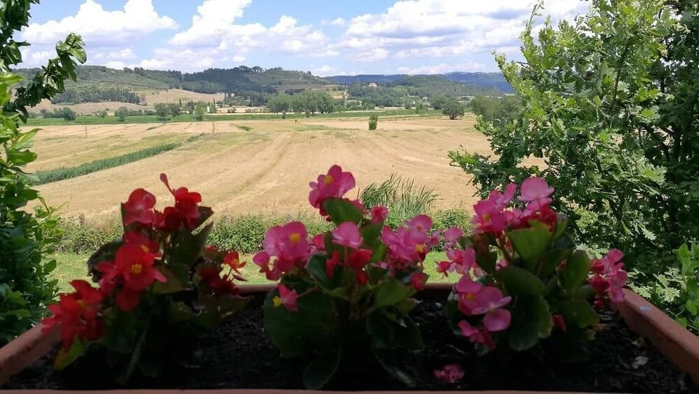 Podere Lamaccia