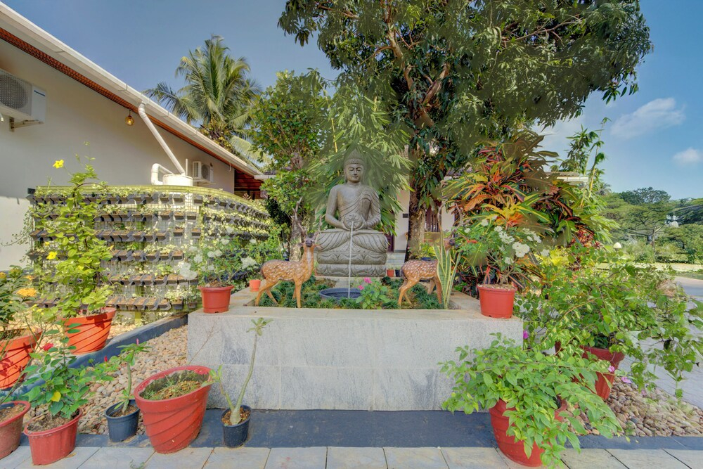 ELIVAAS Breeze & Grains 3BHK with Patio