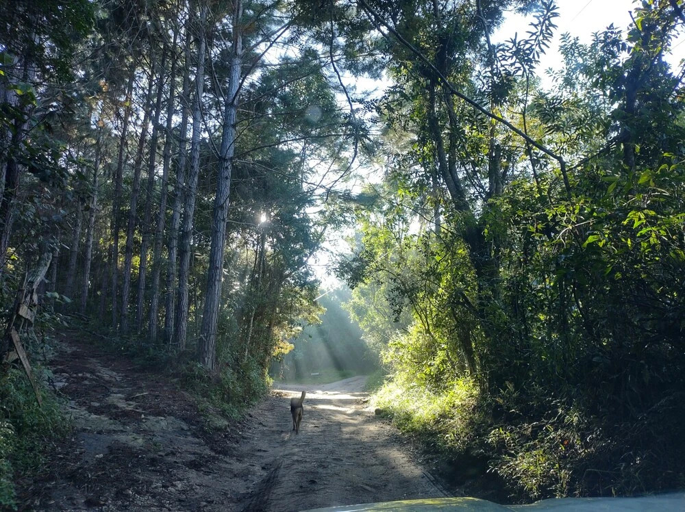 Pousada SerTão de Minas