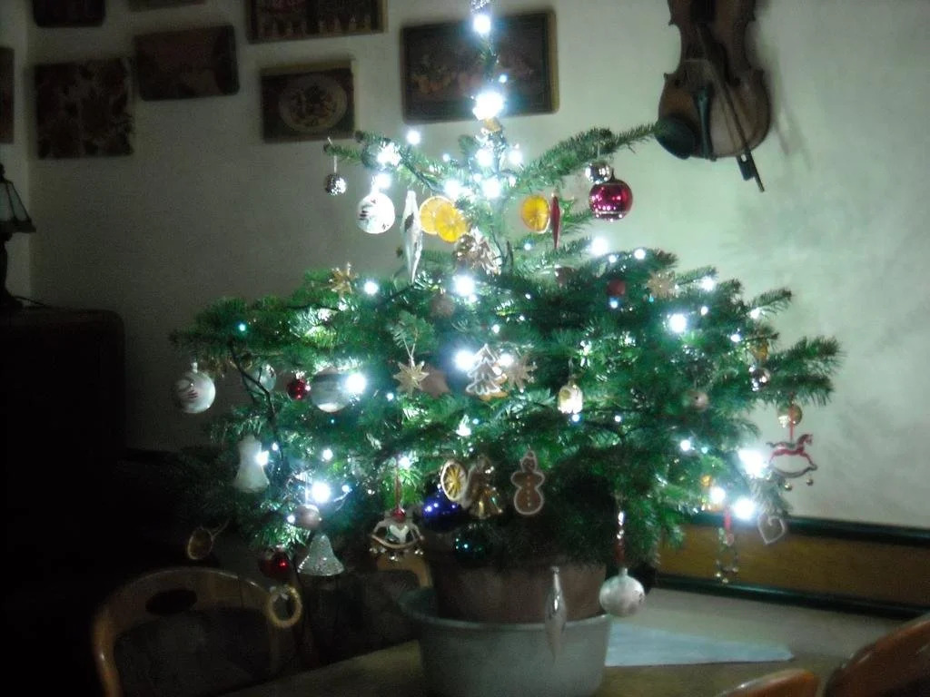 Penzion Bázum