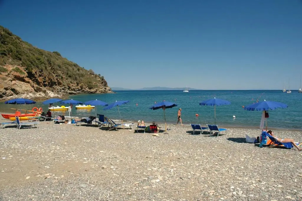 Le Maree Fede