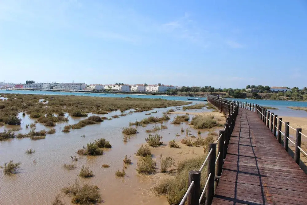Quinta Velha Sea Private Garage Viewflat113