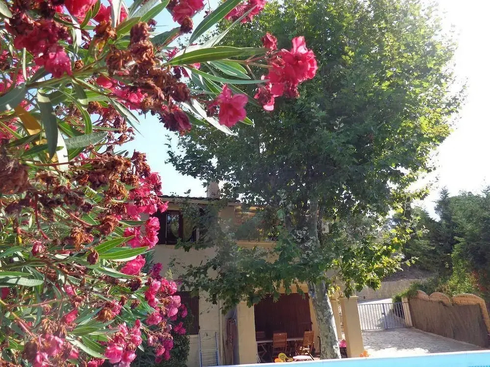 Villa Petra