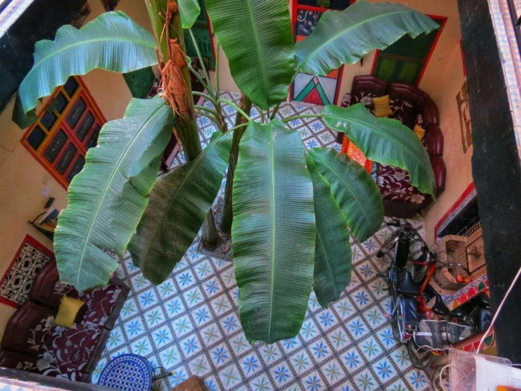 Riad Espagne