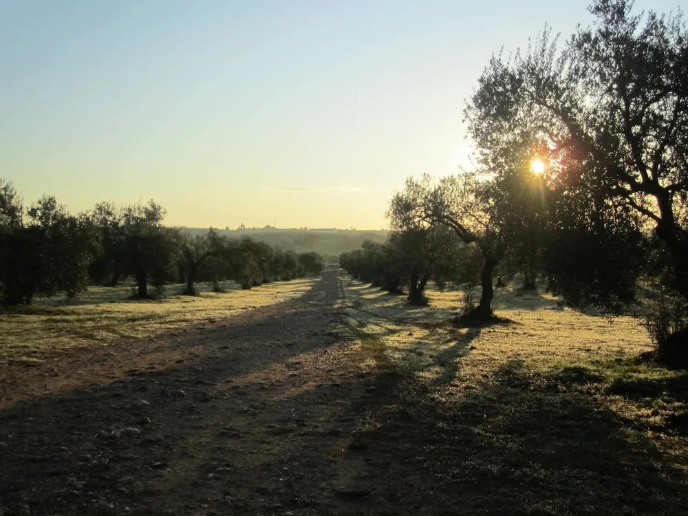Hacienda Dos Olivos