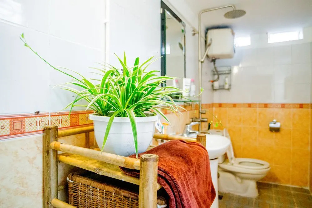 Homestay in Centre Hanoi Hoan Kiem