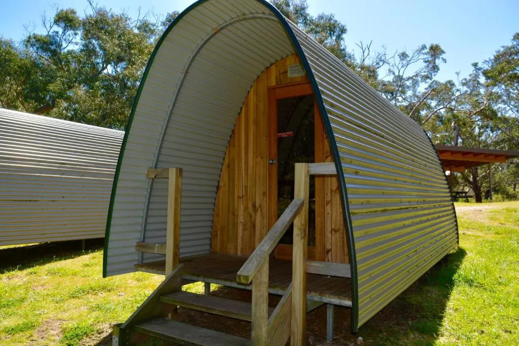 Bimbi Park - Camping Under Koalas