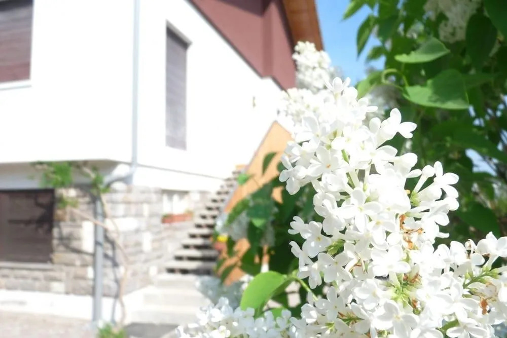 B&B Casa Sul Lago