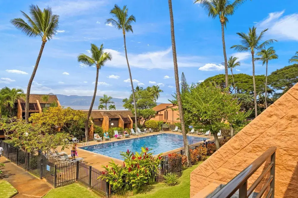 Kuleana Club - 316