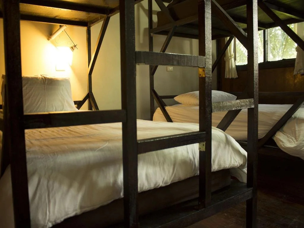 Jungle Gym & Eco Lodge - Hostel
