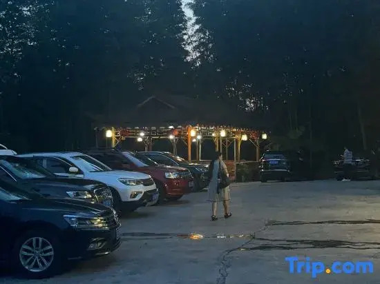 Southern Sichuan Bamboo Sea Forest Resort Homestay
