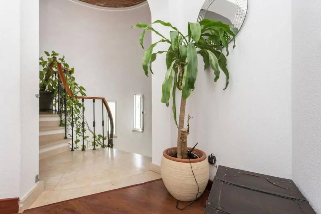 Lovely Family House
