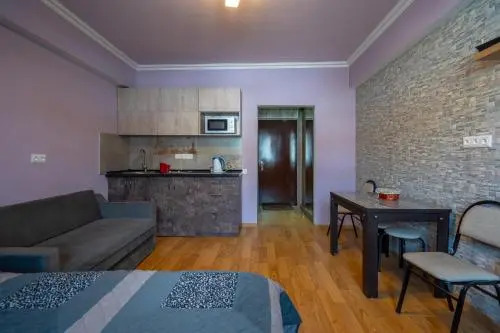 Cozy studio in Gudauri