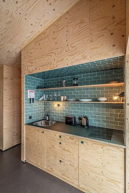 Aska Modern Cabin