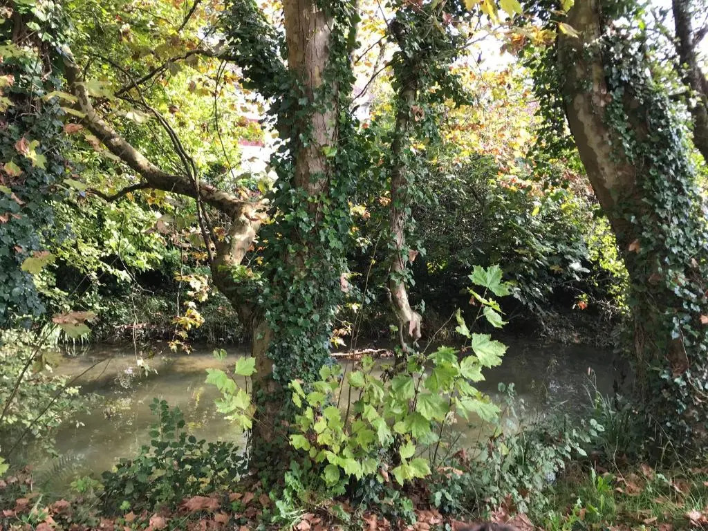 Camping Le Ruisseau