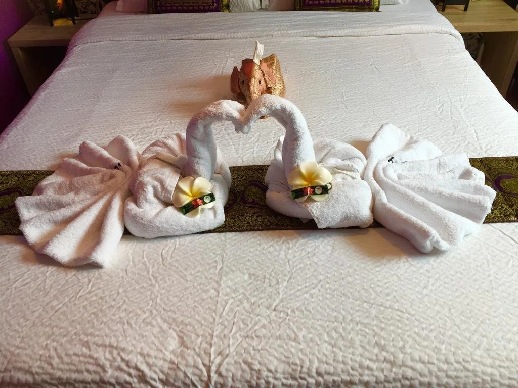 B&B Kookhai