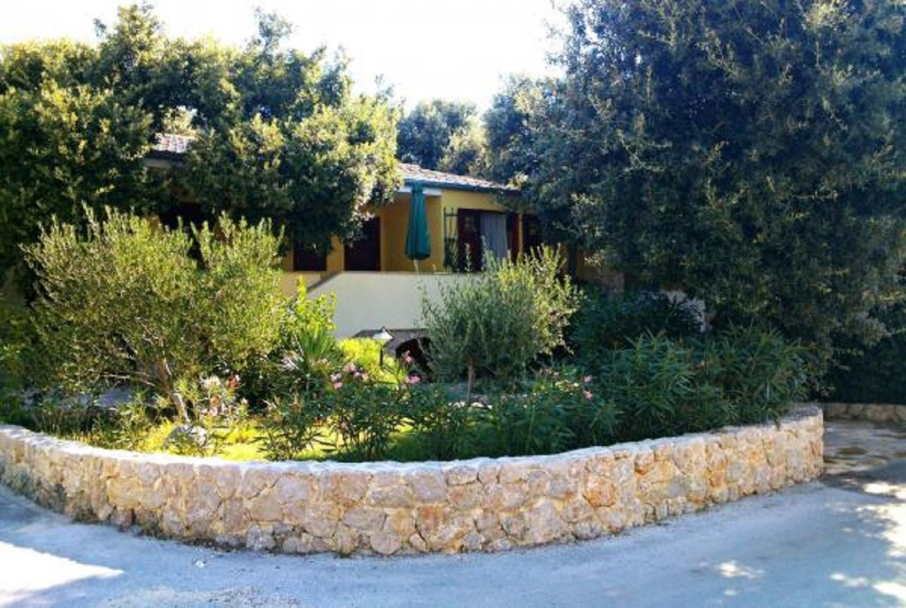 Apartment Mis - apartments close to sea: A1 Petrcane, Zadar riviera