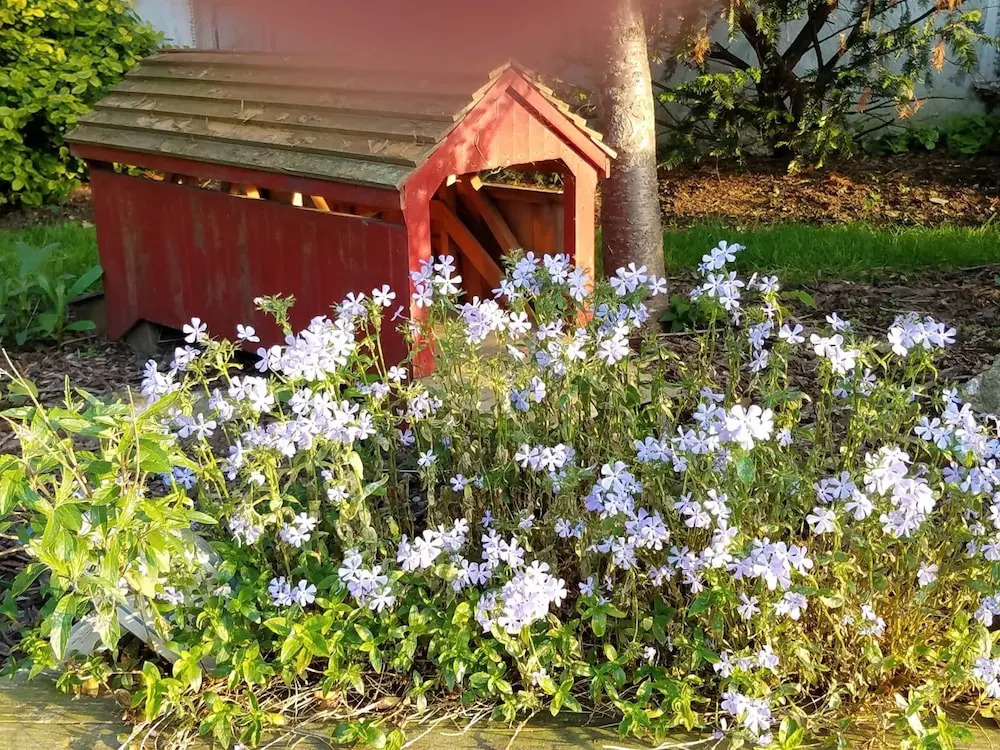 Osceola Mill House Bed and Breakfast