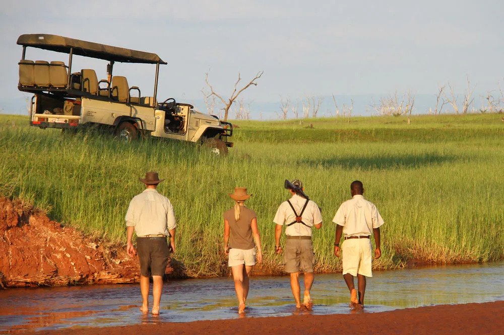 Changa Safari Camp