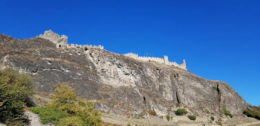 Le Merle Châtelain