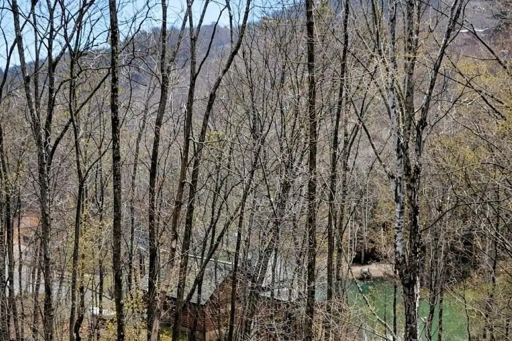 Shamrock Valley 1 Bedroom Cabin
