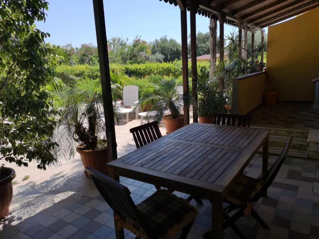 xenia garden 2