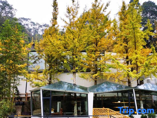 Geyuan Hostel