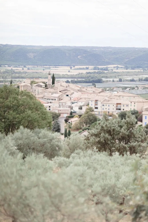 PROVENCE Dodo