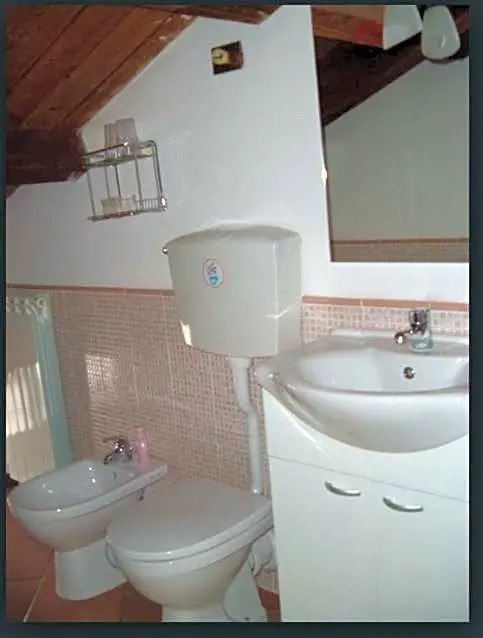 LOasi