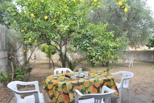 The Dream House in Sardinia