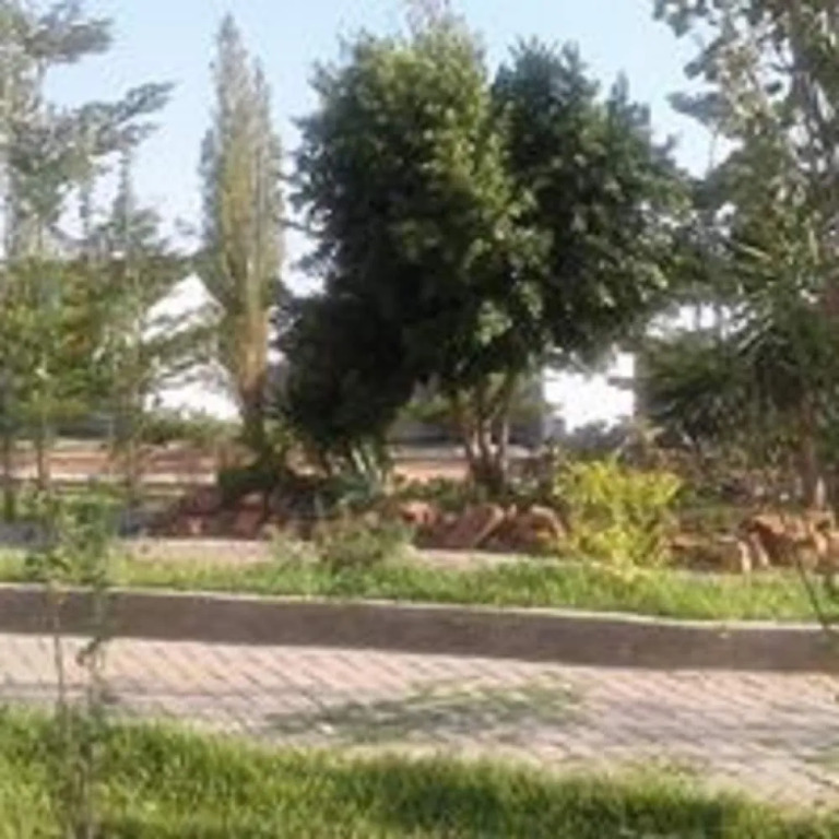 Moyo lodge