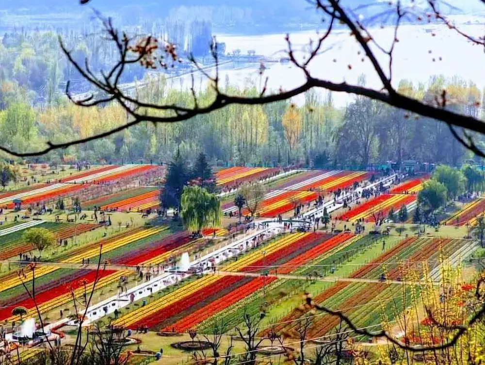 Echor Kashmir Holidays Resort Srinagar